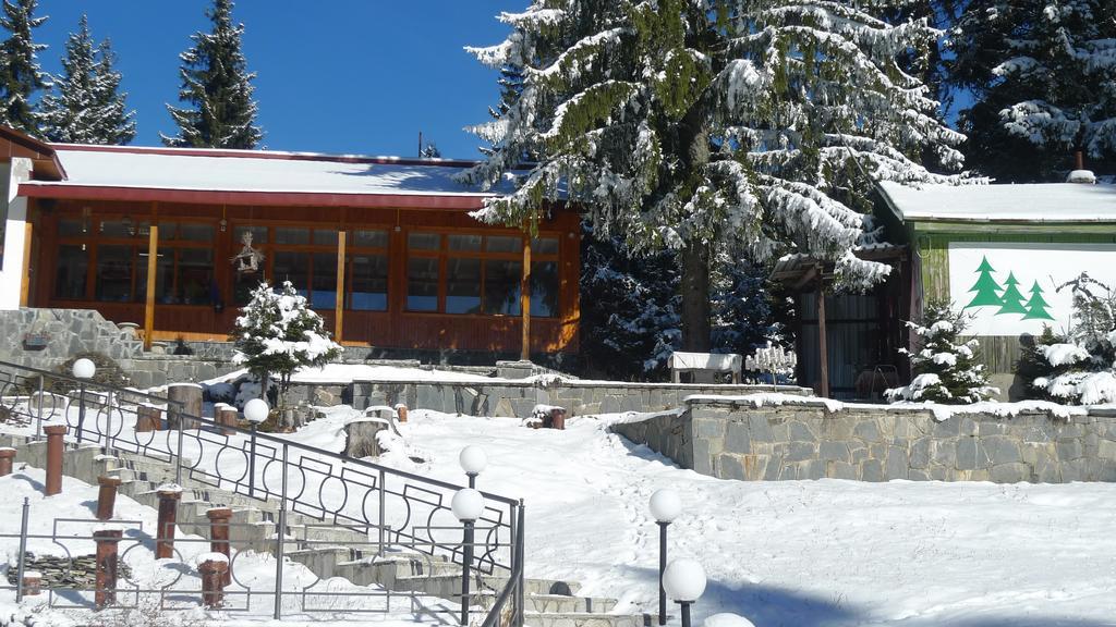 Hotel Elitza Παμπόροβο Εξωτερικό φωτογραφία