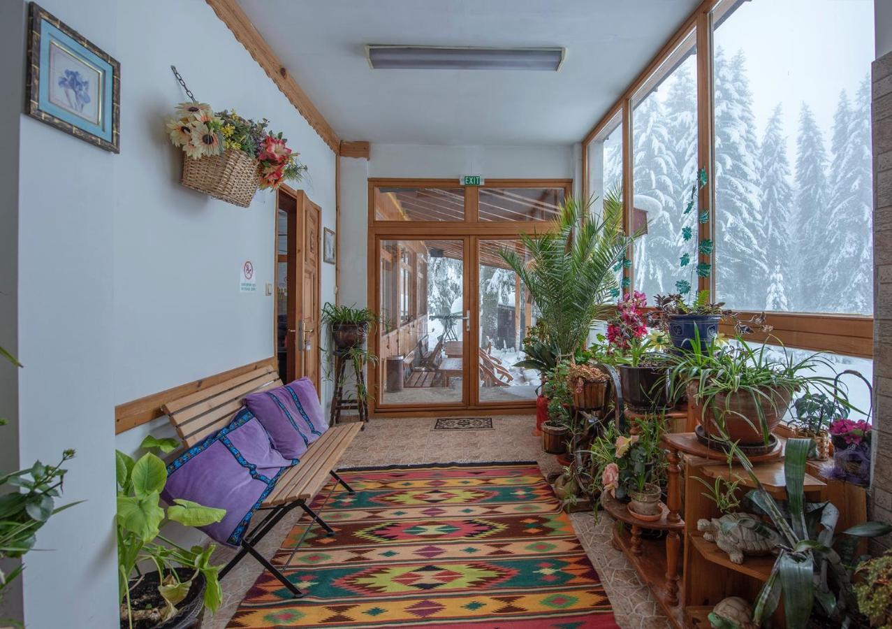 Hotel Elitza Παμπόροβο Εξωτερικό φωτογραφία